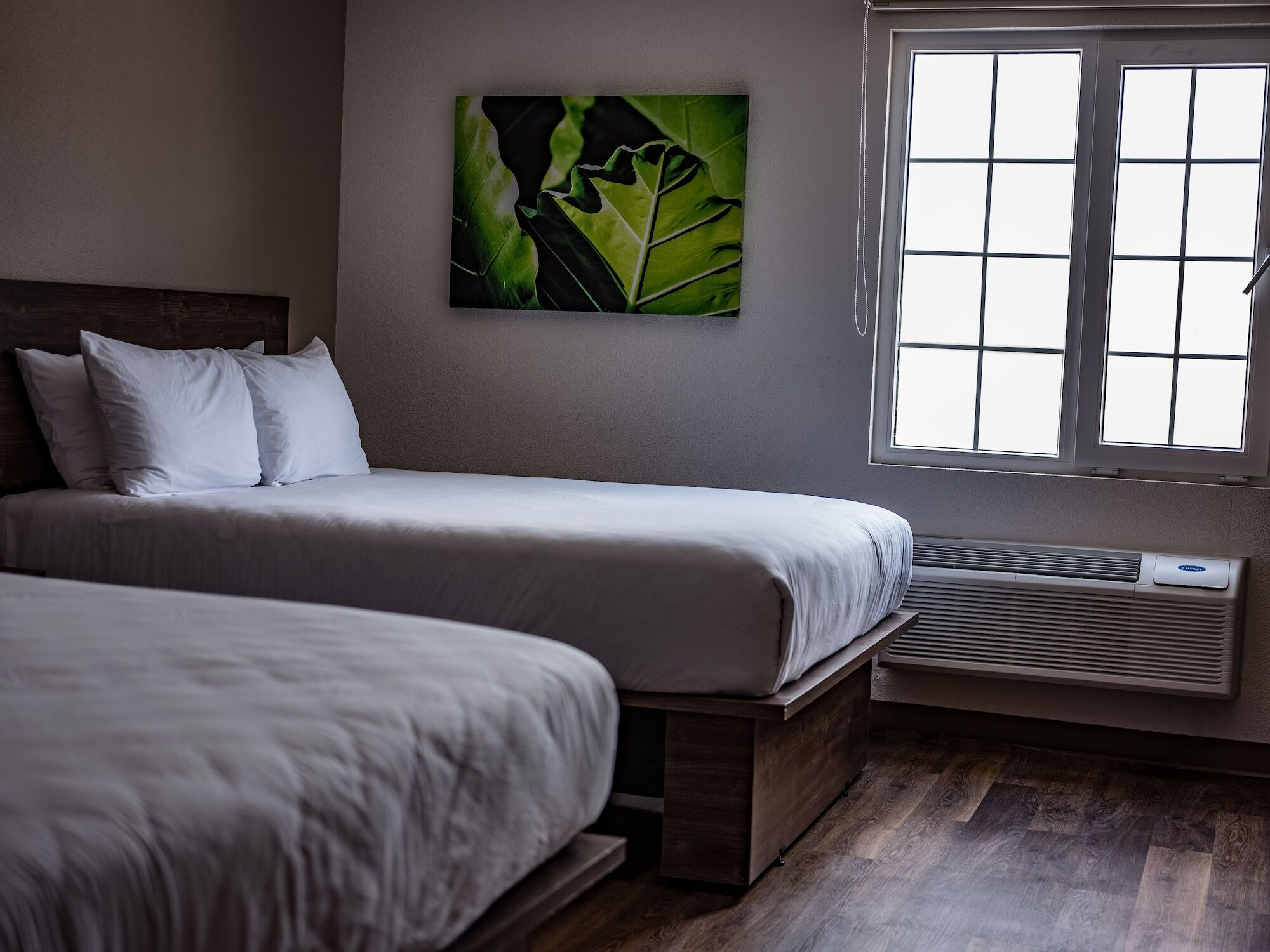 Extended Suites Saltillo Galerias Εξωτερικό φωτογραφία